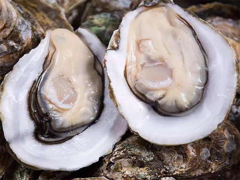 What does zinc do to the human body?What foods can eat zinc? iNEWS