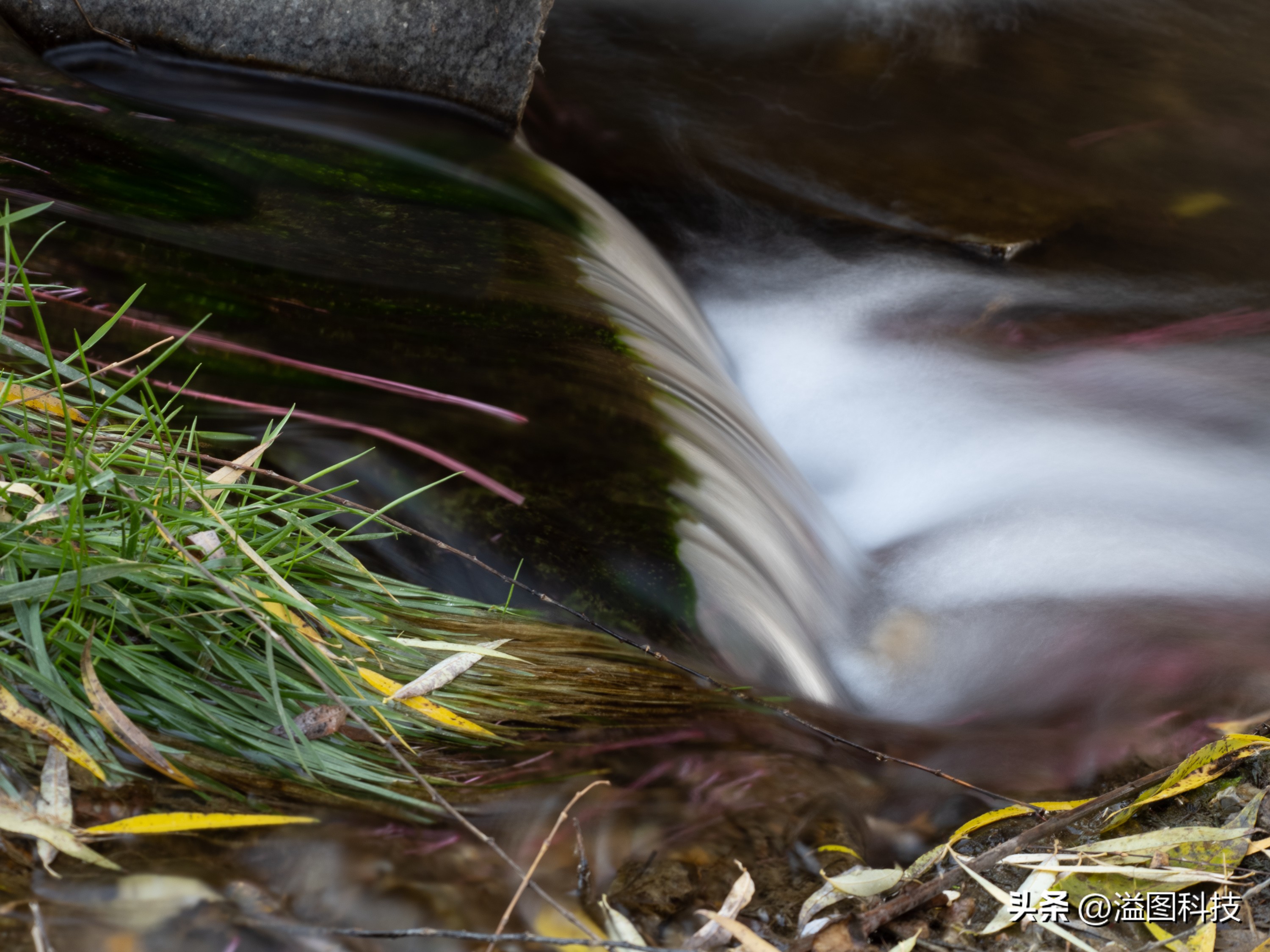 Try a new mirrorless camera that emphasizes computational photography