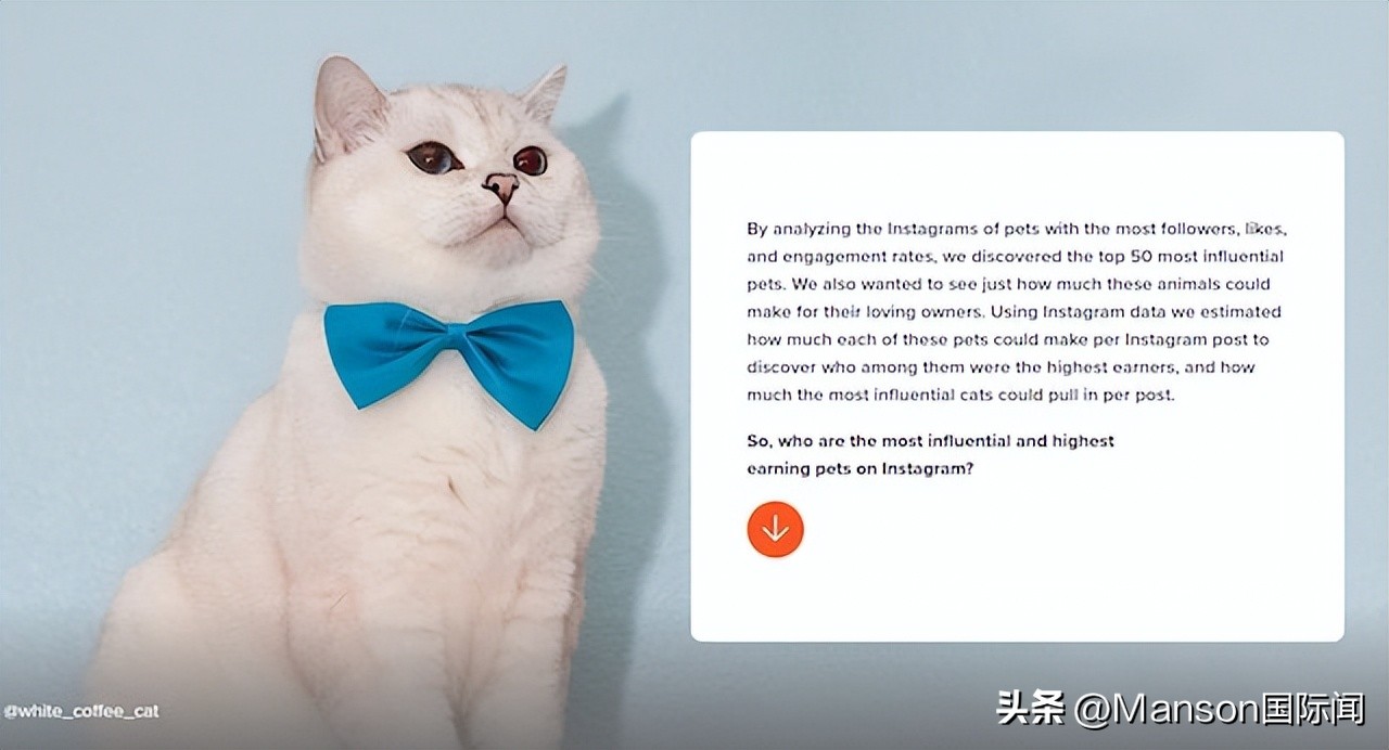 American singer loves cats worth as much as 700 million, the world's