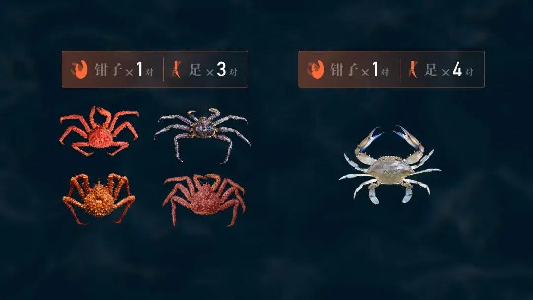 Why are king crabs so expensive? iNEWS