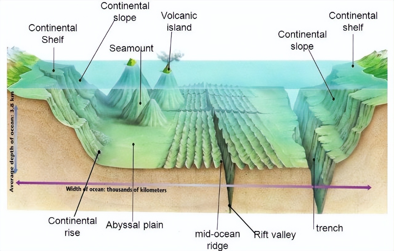 What is the seabed like iNEWS