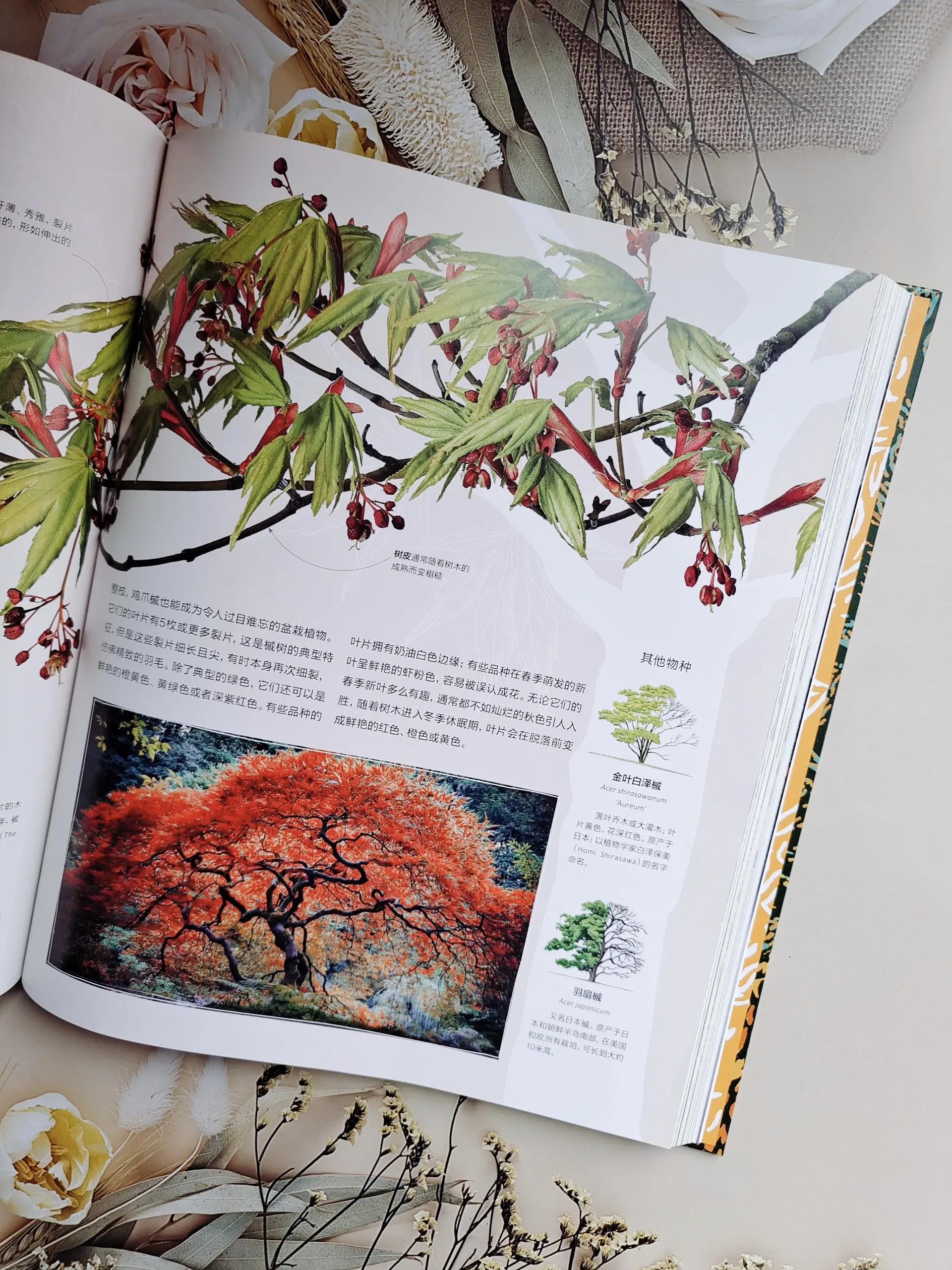 Encyclopedia takes you to understand tree knowledge iNEWS