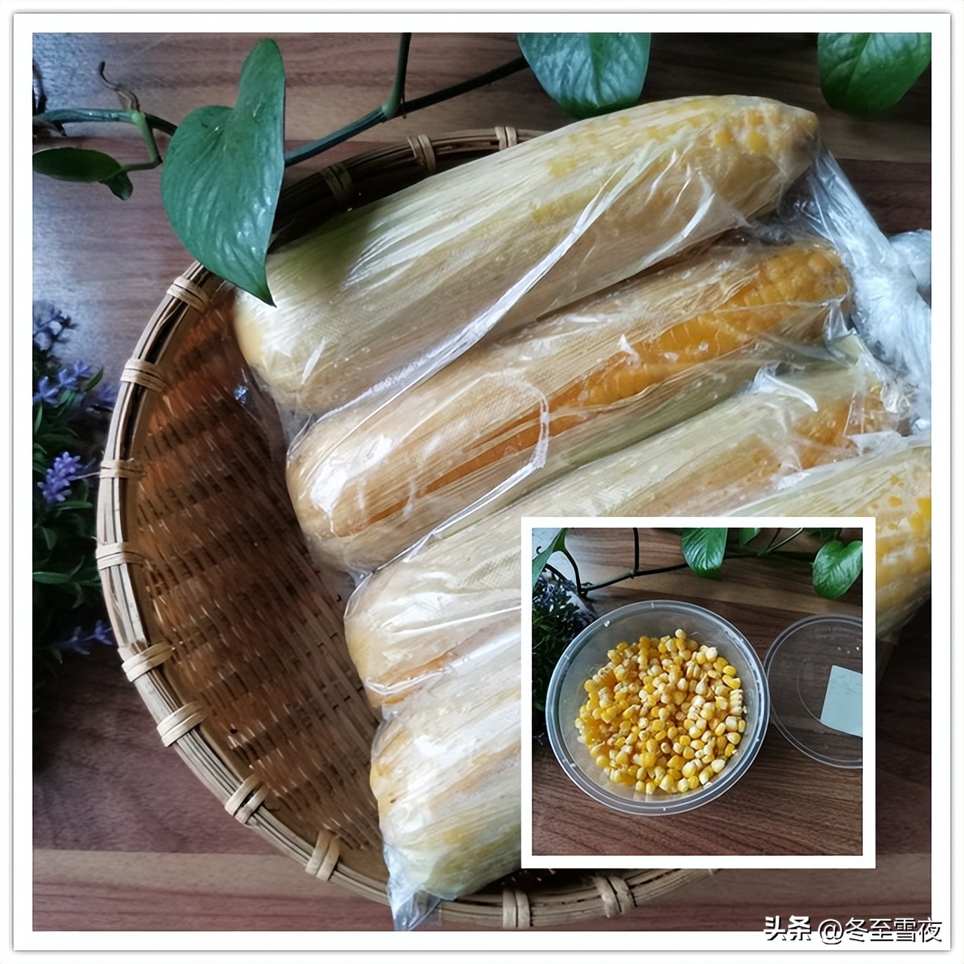 How to preserve fresh corn? Teach you to do this, take it out to eat in
