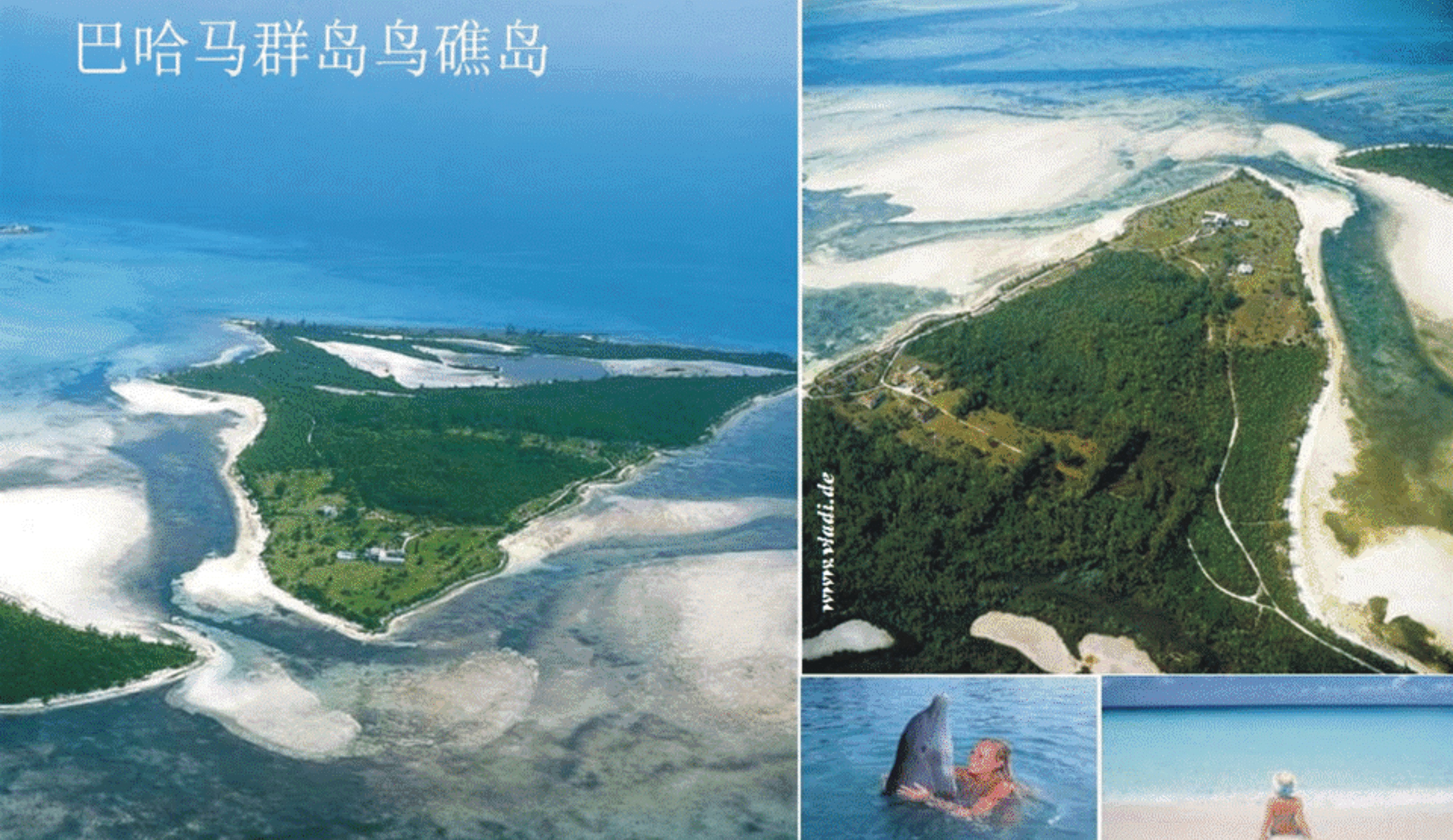 The private island of nightclub moguls and world movie stars (Bird Cay ...