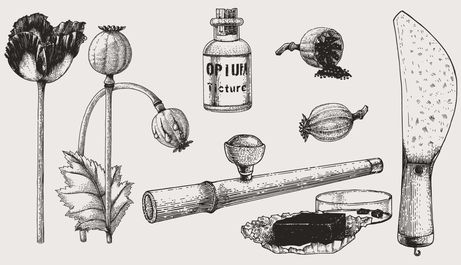 The real cause of the Opium War was actually the bane planted during ...