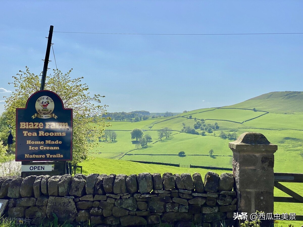 An ice cream farm in England, a great place to enjoy nature iNEWS