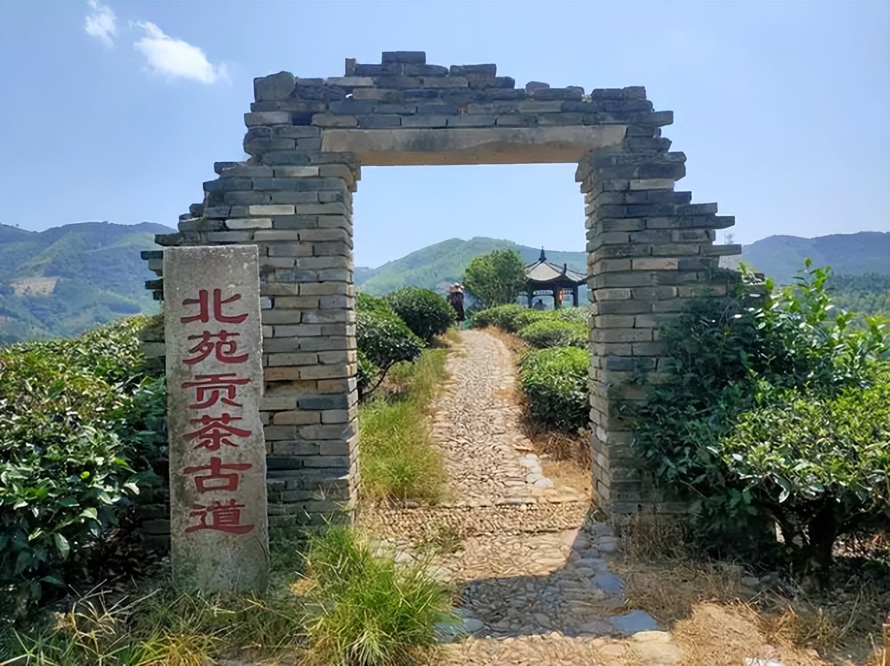 Inheritance and development of Beiyuan tea culture - iMedia