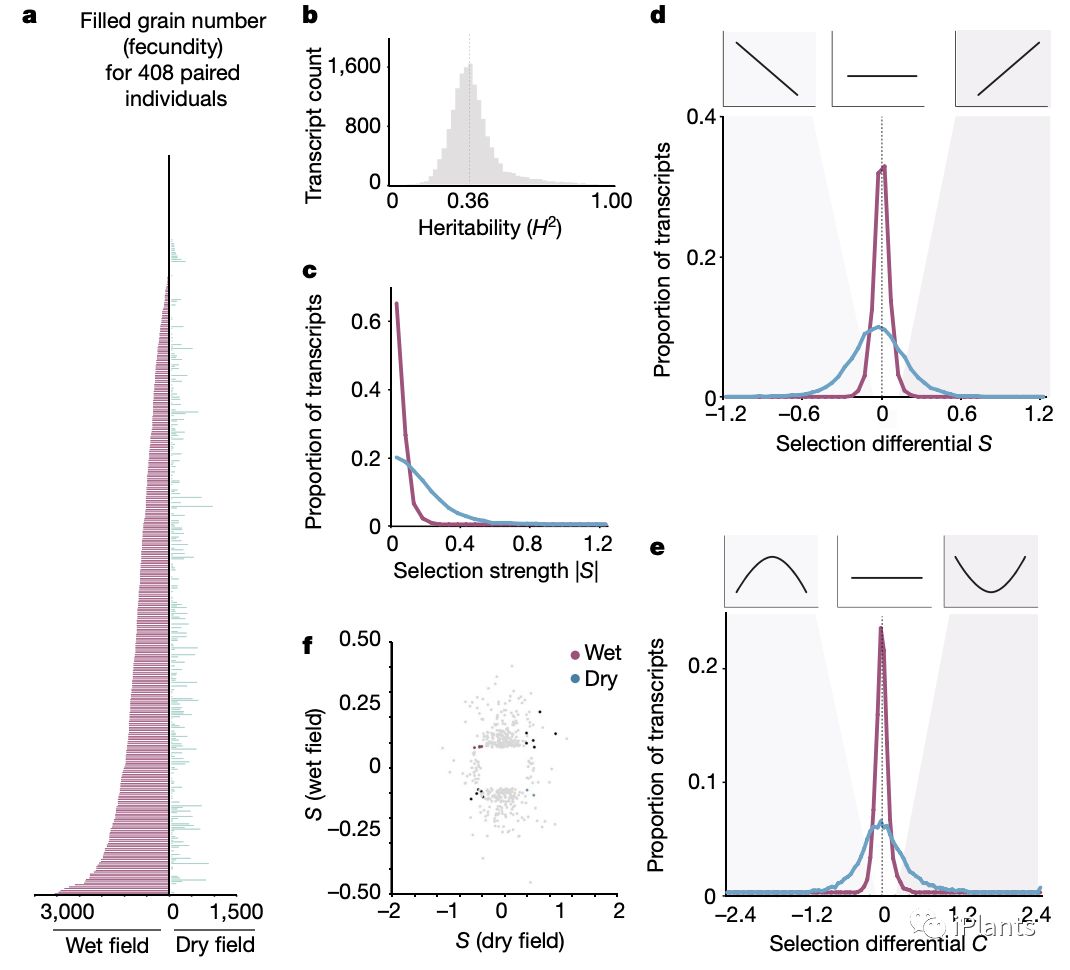 1320 RNA-Seq reveals molecular mechanism of adaptive evolution in rice ...
