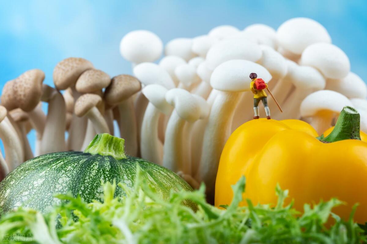 Xie Wensong Science must talk about politics, "science has no borders