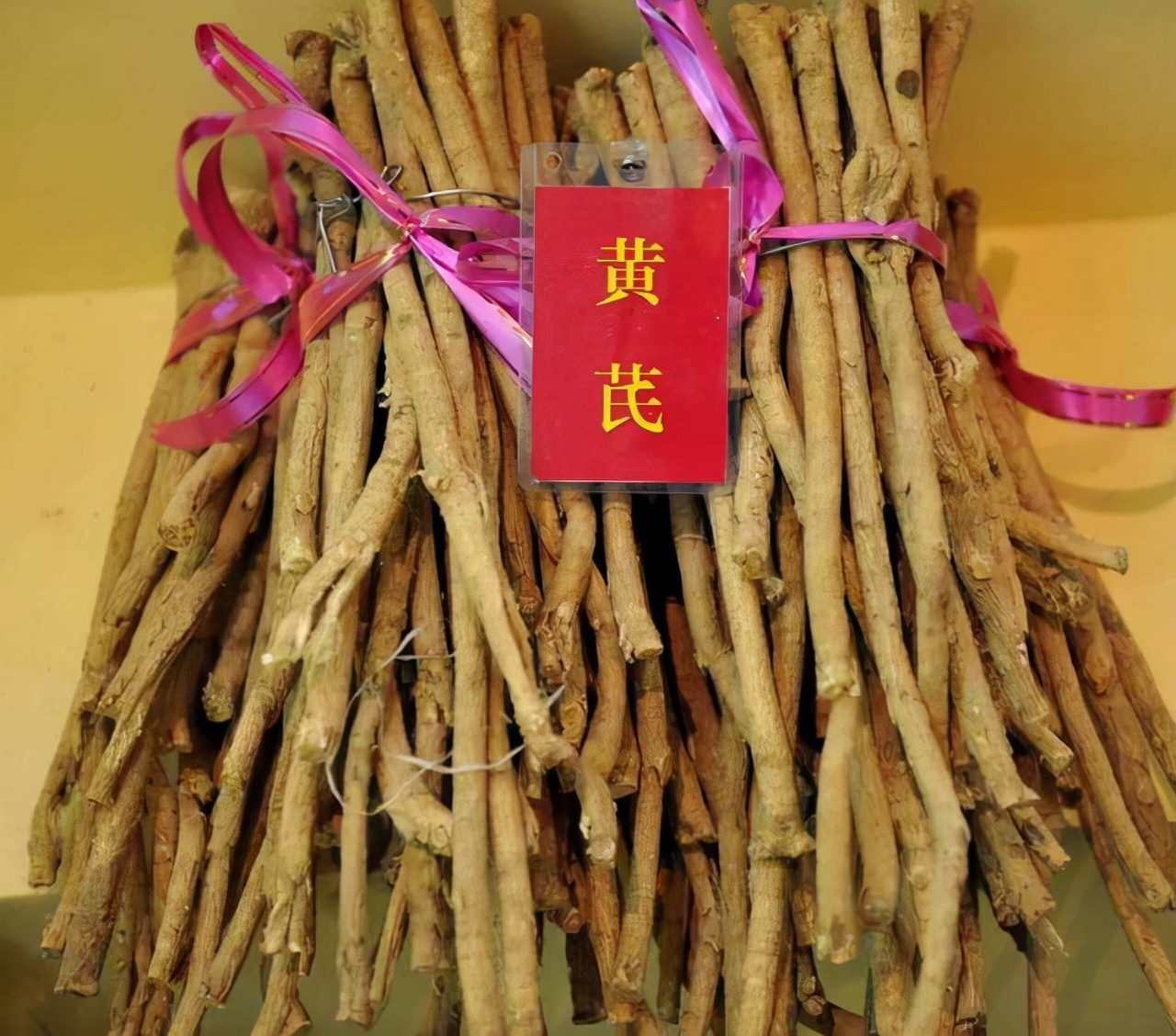 Why do people get thinner and thinner after drinking astragalus water