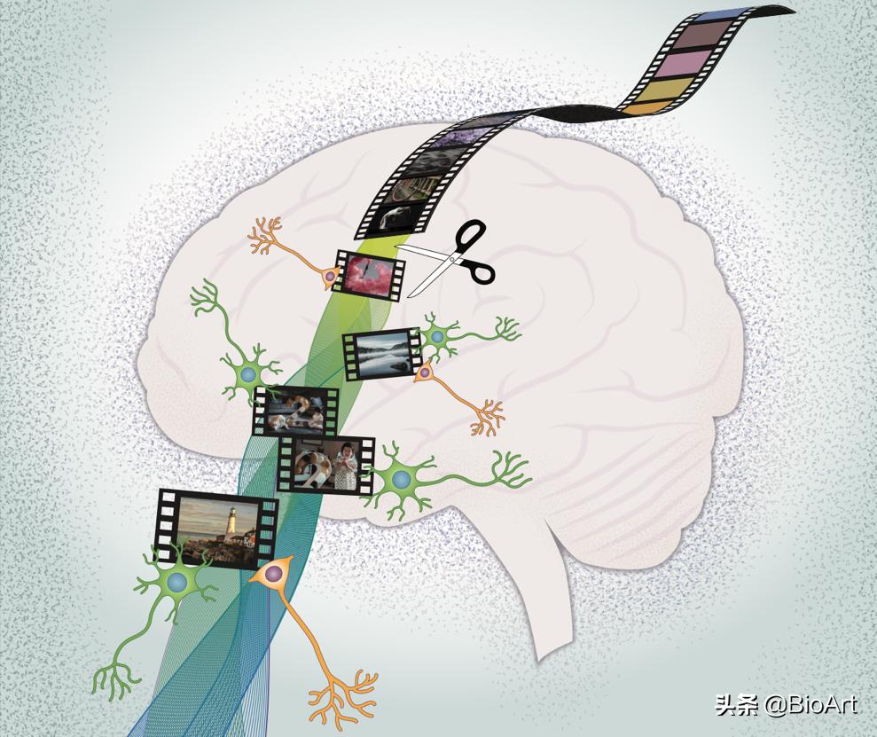 Memory Editing brain memory editor - iNEWS