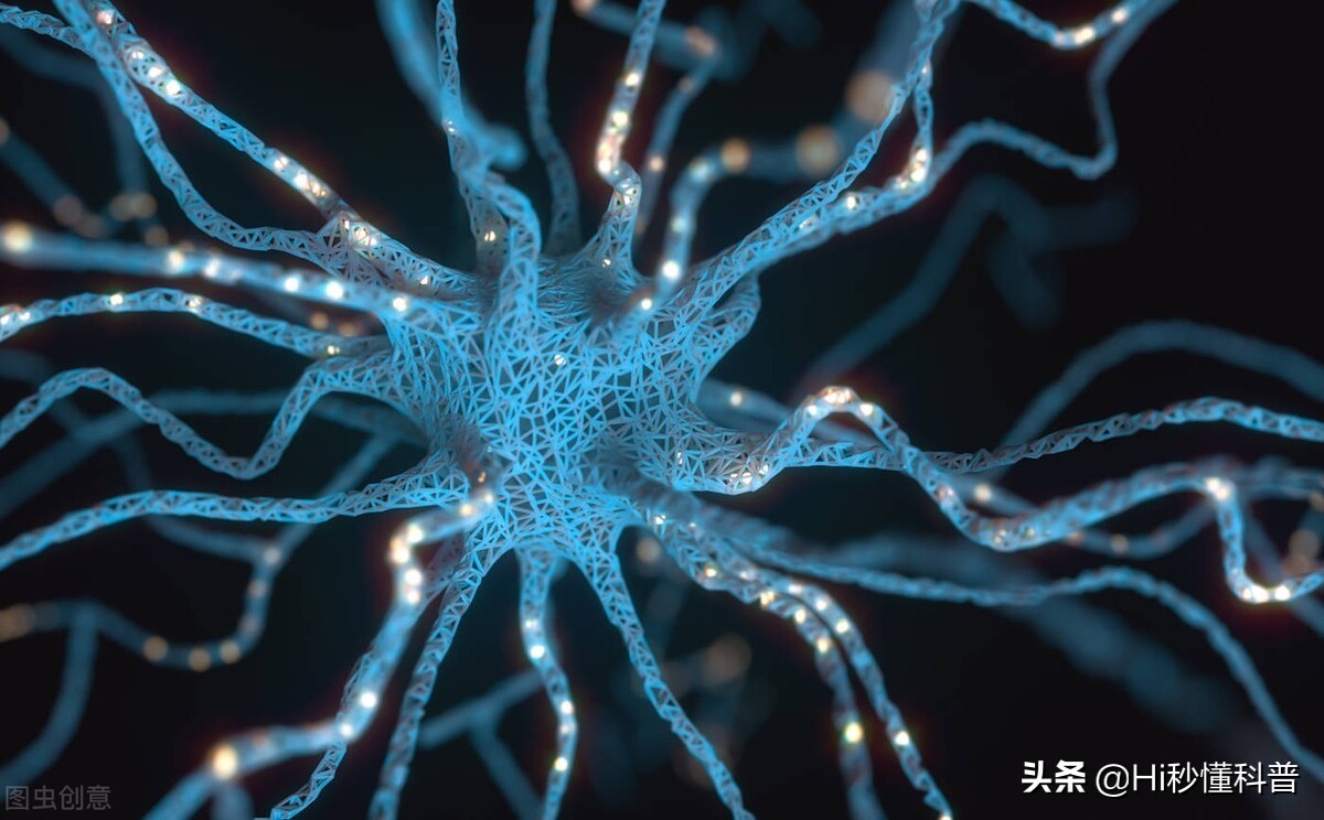 "Human brain" is equivalent to how many gigabytes of memory?Or underestimate your own brain