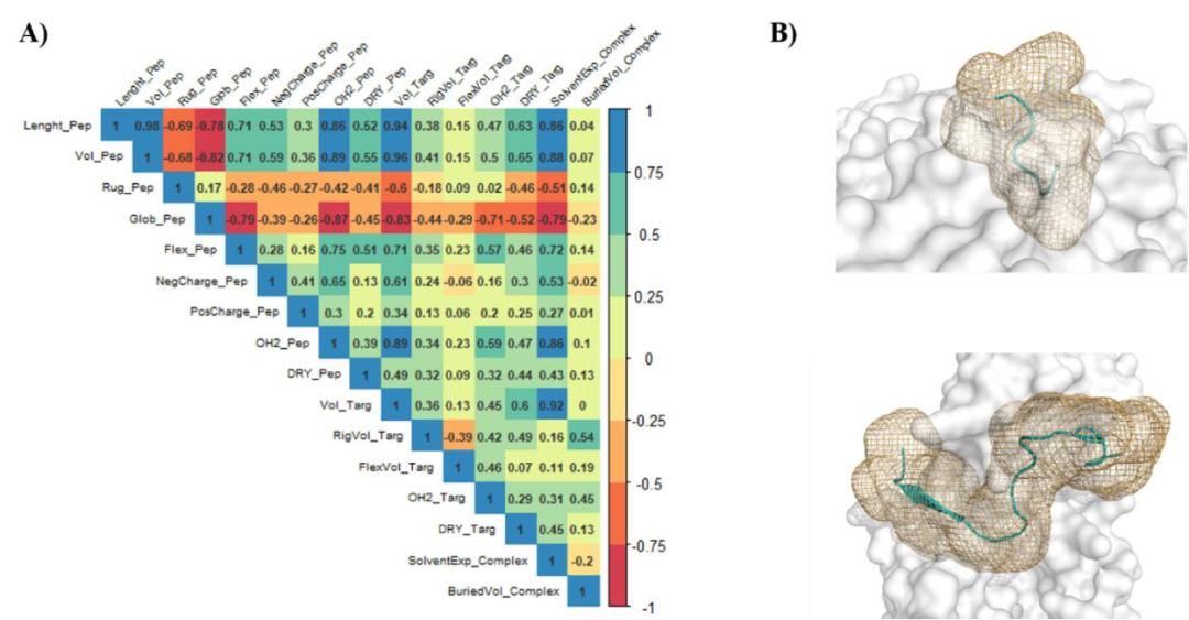 Gain Insight Into The Structural And Energetic Features Of Peptide ...