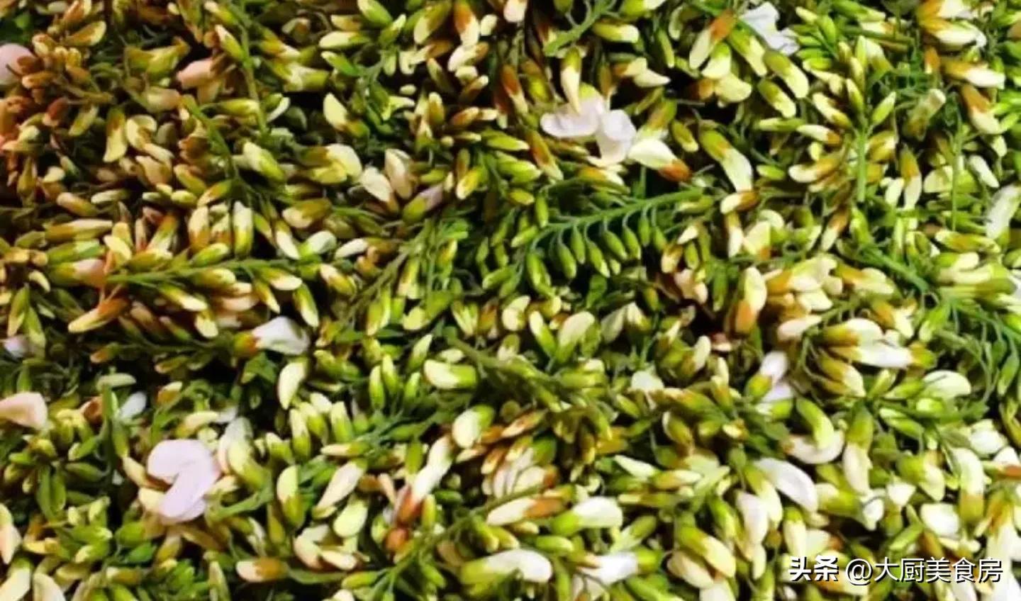 In spring, eat more of this wild game, it is more delicious than