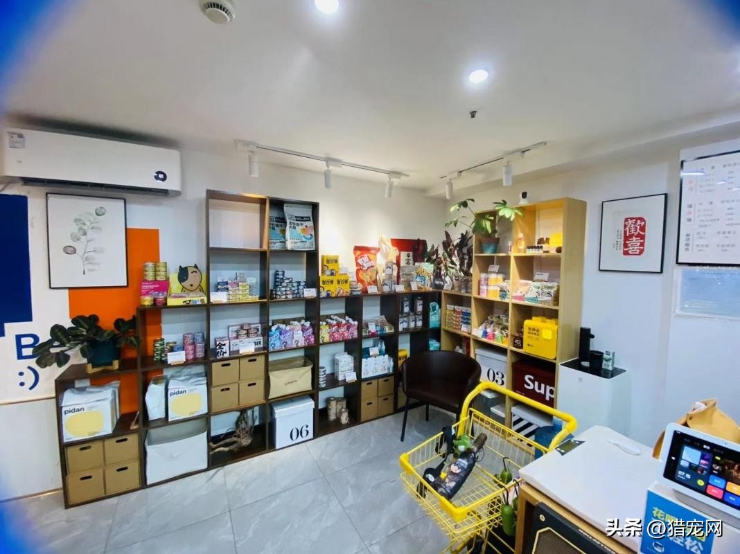 Profitable pet store transfer, heartbeat is worse than action!Friends