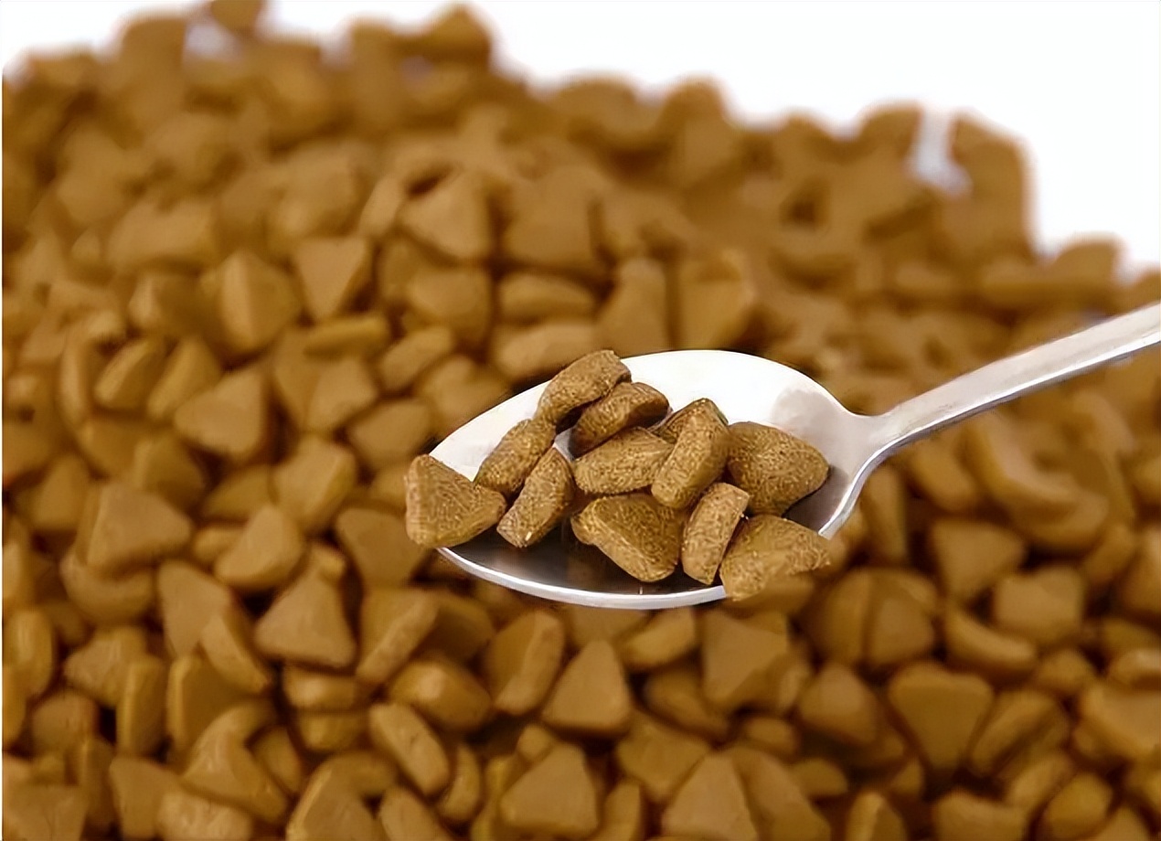 How to choose dog food?The key is to look at these 6 points iNEWS