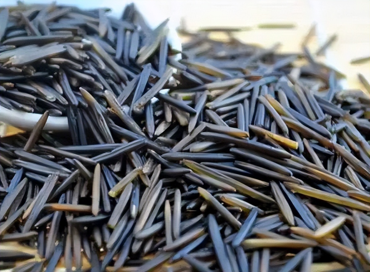 The "longest rice" in the world is given the nickname local tyrant rice