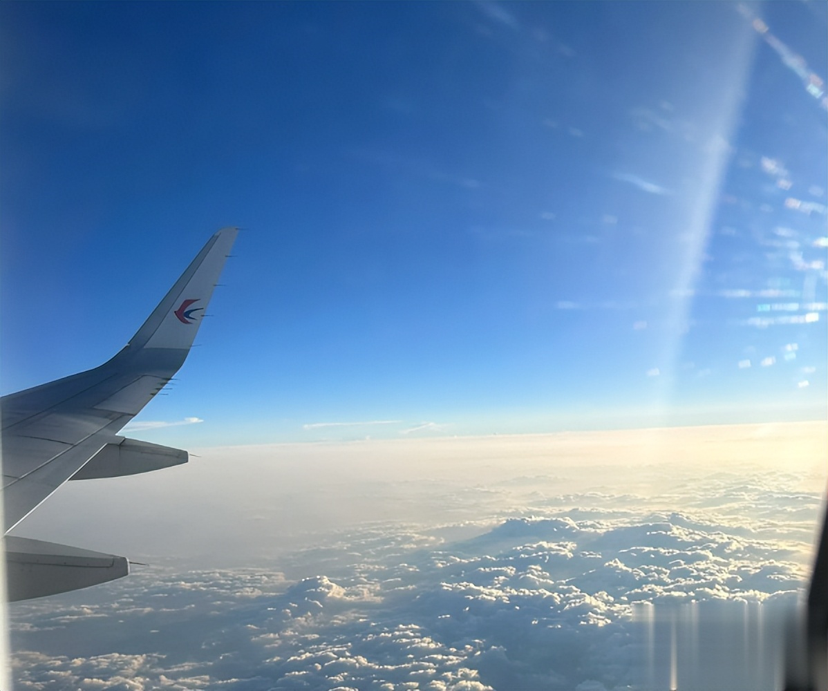 Why do you have to be seated according to your number on the plane? Why