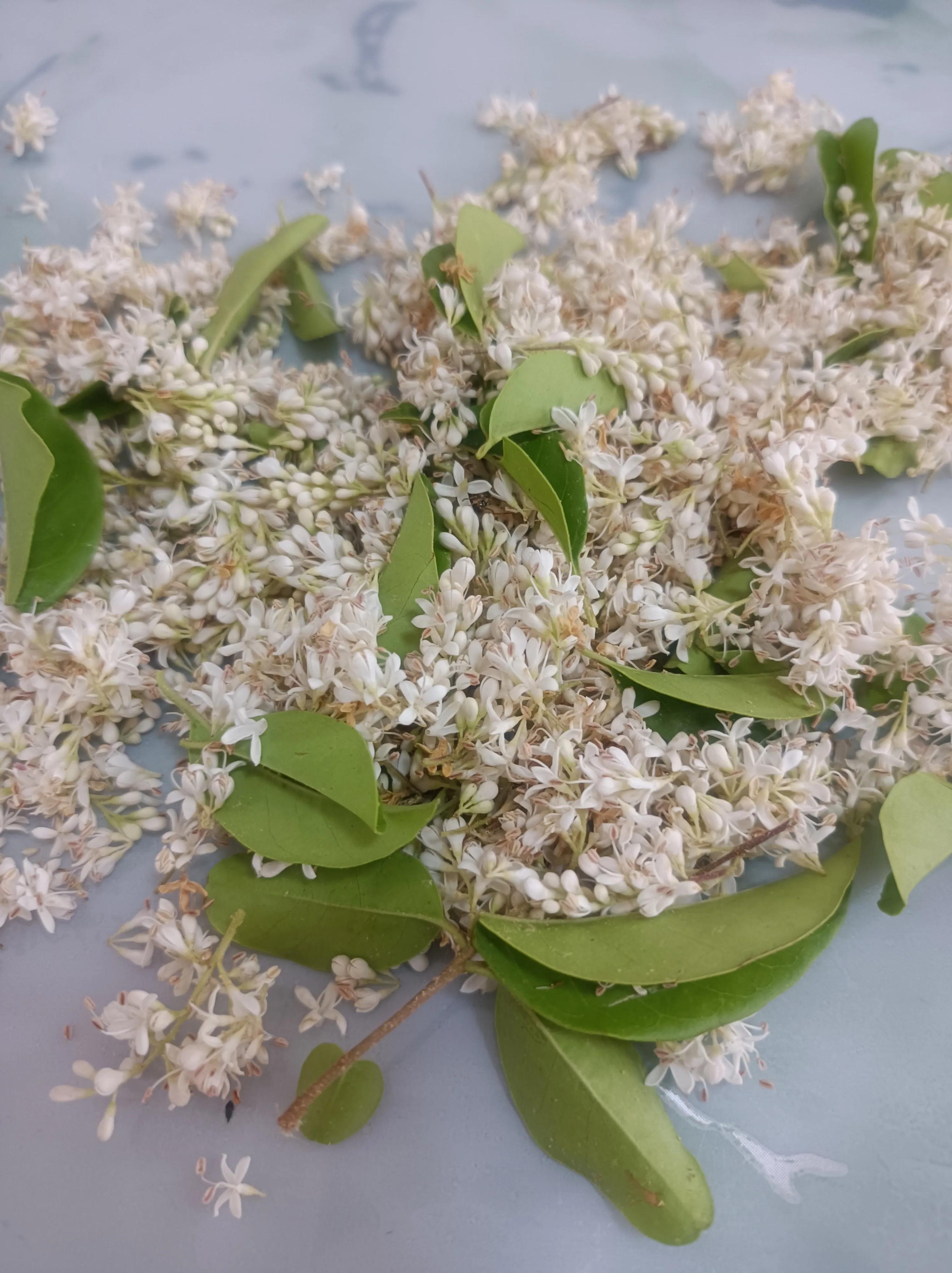 Fragrant Clove Roast - iNEWS