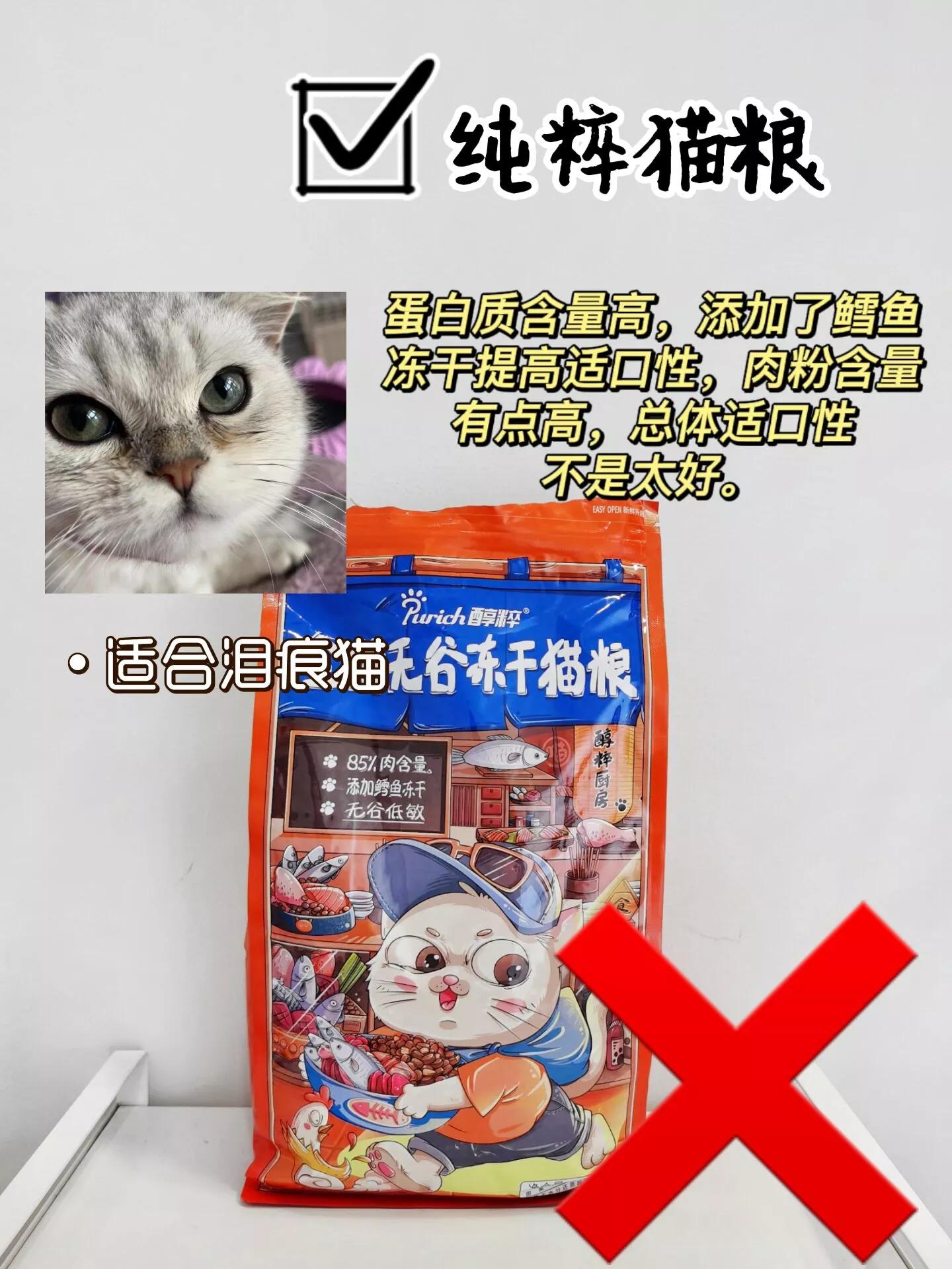 Choosing the Right Cat Food Can Change Your Cat's Health Problems iNEWS