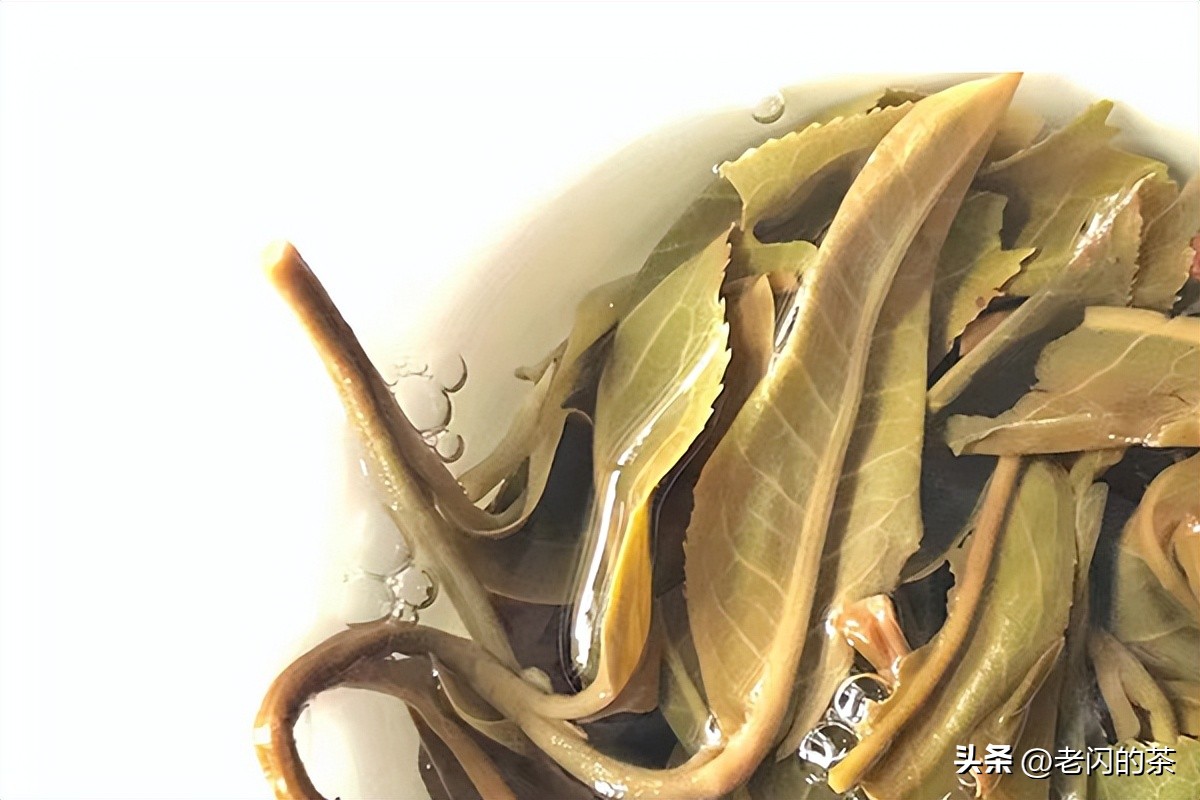 Baka ancient tree tea: with an annual output of 1 ton, 100 acres of ...