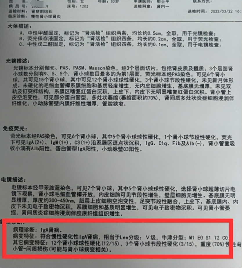 IGA nephropathy grade Ⅴ, creatinine 150, urine protein 3+ occult blood 3+ what to do? iMedia