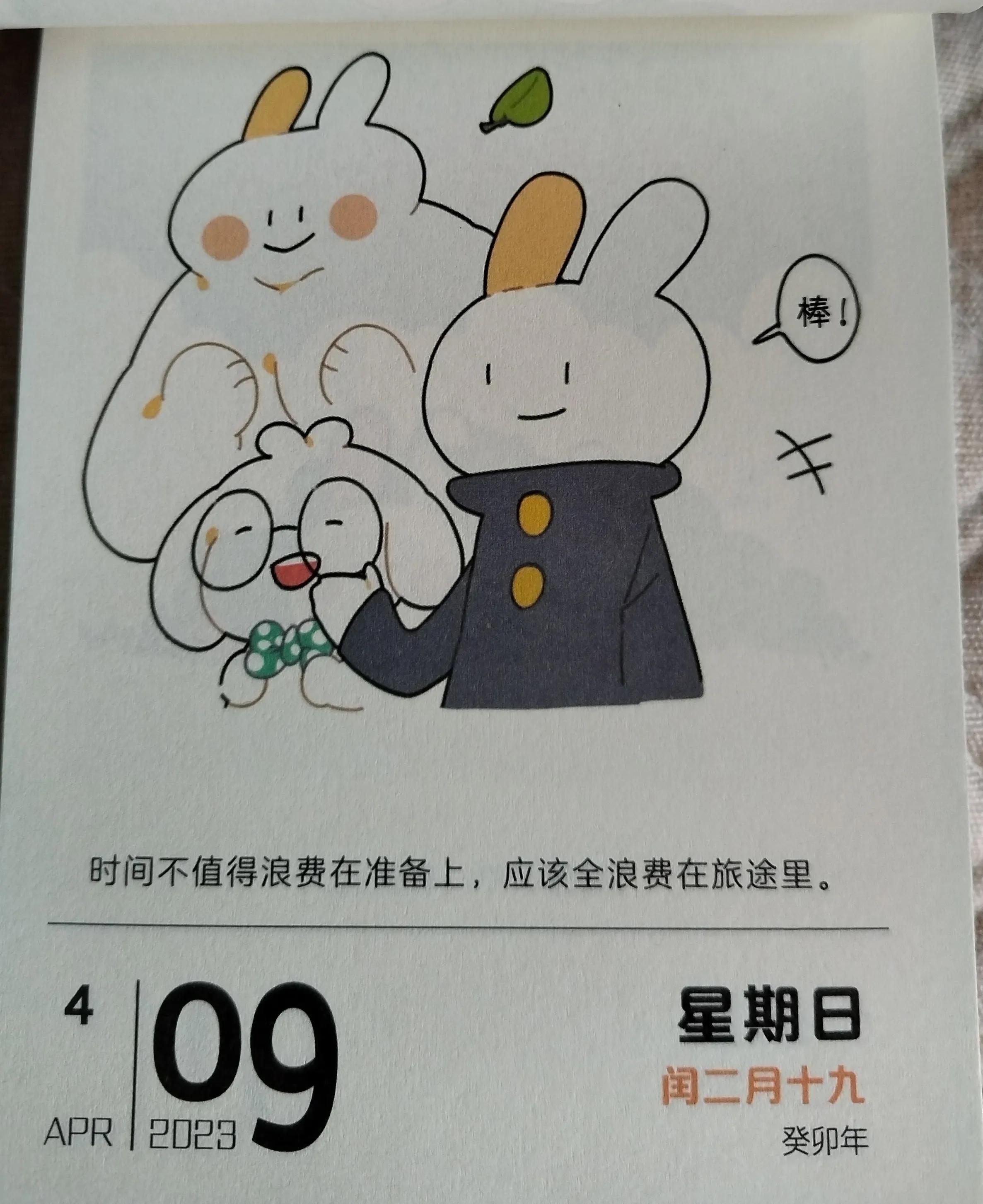The Broken Ear Rabbit will bring you good luck in a new way - iNEWS