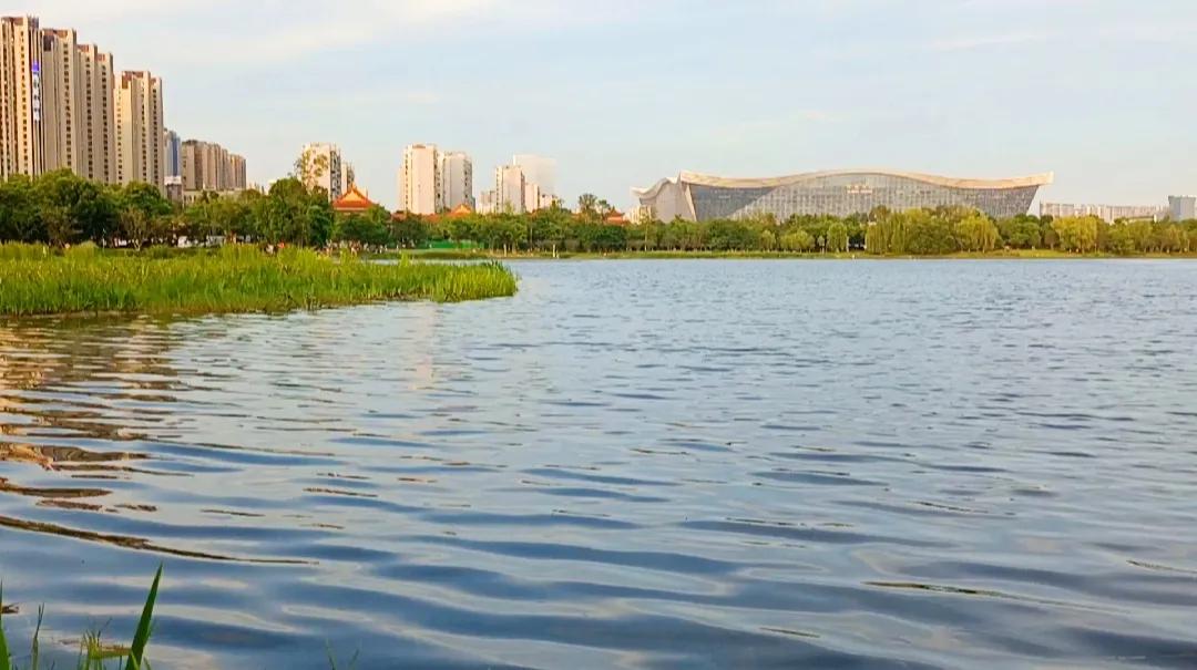 Chengdu Jincheng Lake Park, a park with a strong atmosphere of life - iNEWS