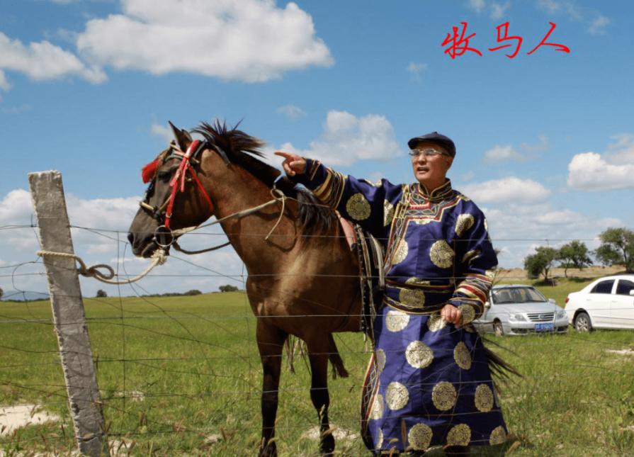 Judging from the domestication technology of horses in the Liao Dynasty
