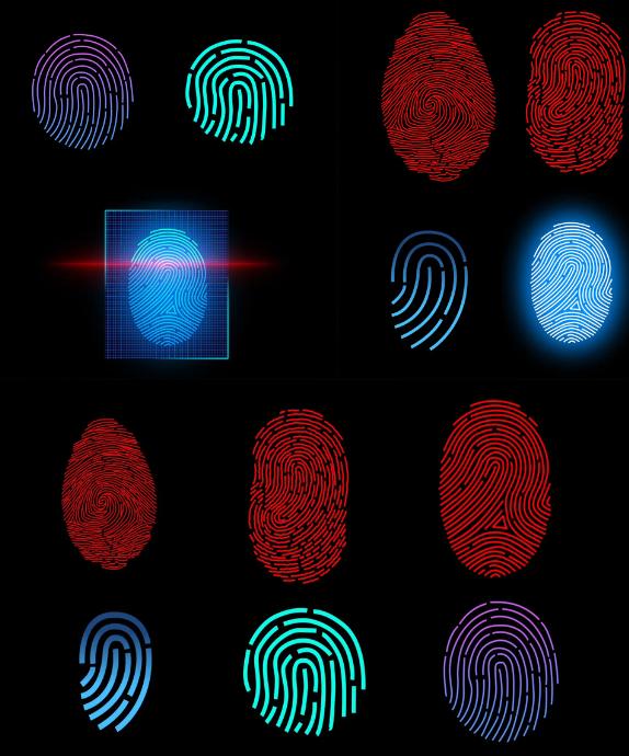 Your fingerprint is your password, do you know how it is formed? - iNEWS