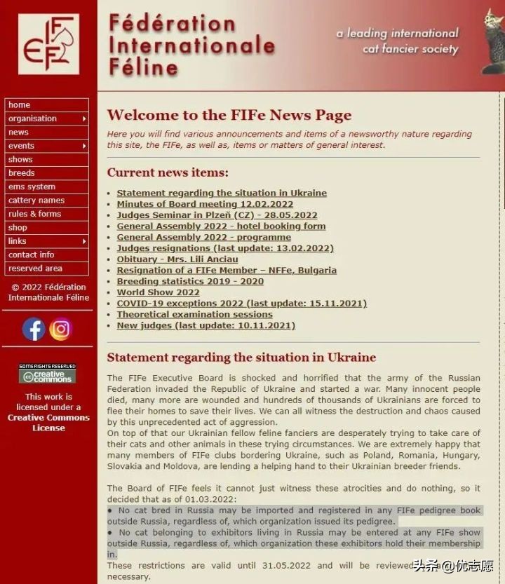 Silent event in the cat industry Russian cats are