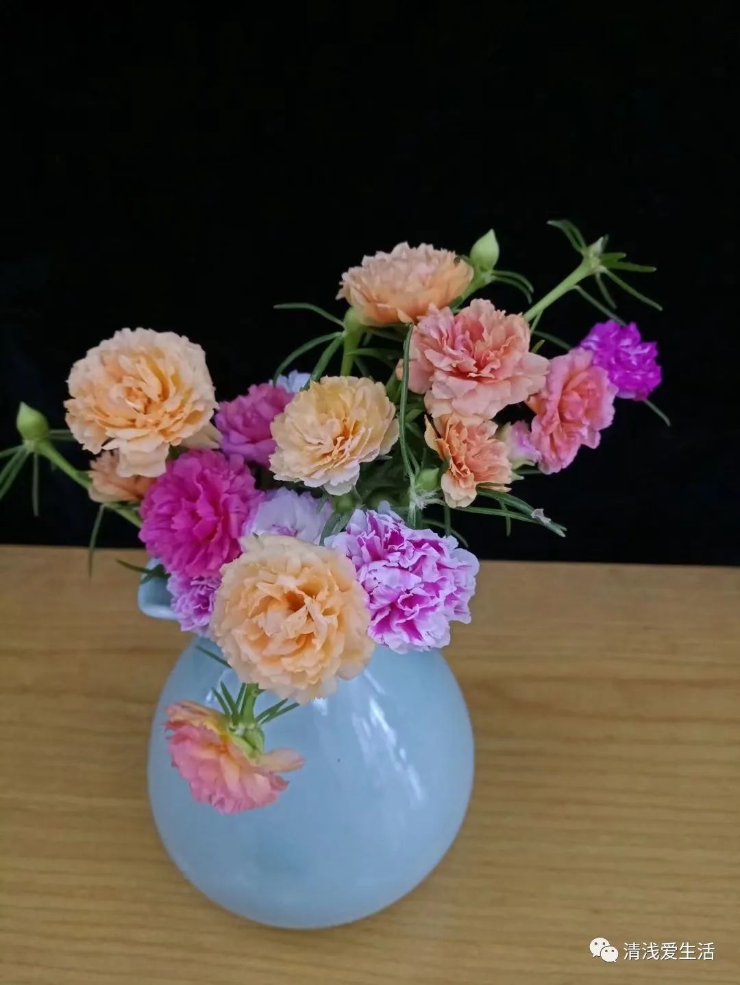 Learning how to grow flowers and cuttings can save a lot of money on buying flowers iNEWS