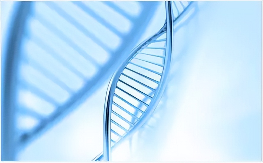 Remaining old without aging may be achievable, Chinese scientists have ...