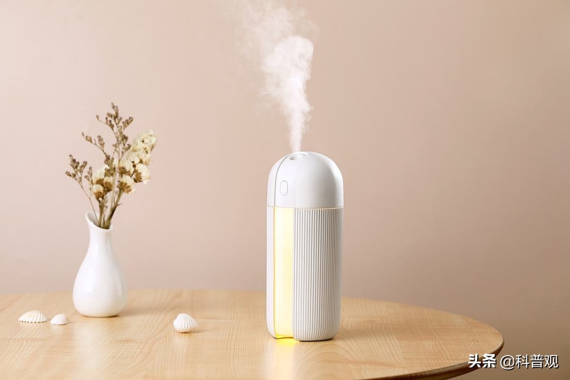 The murder of the humidifier in South Korea: adding fungicide to the ...