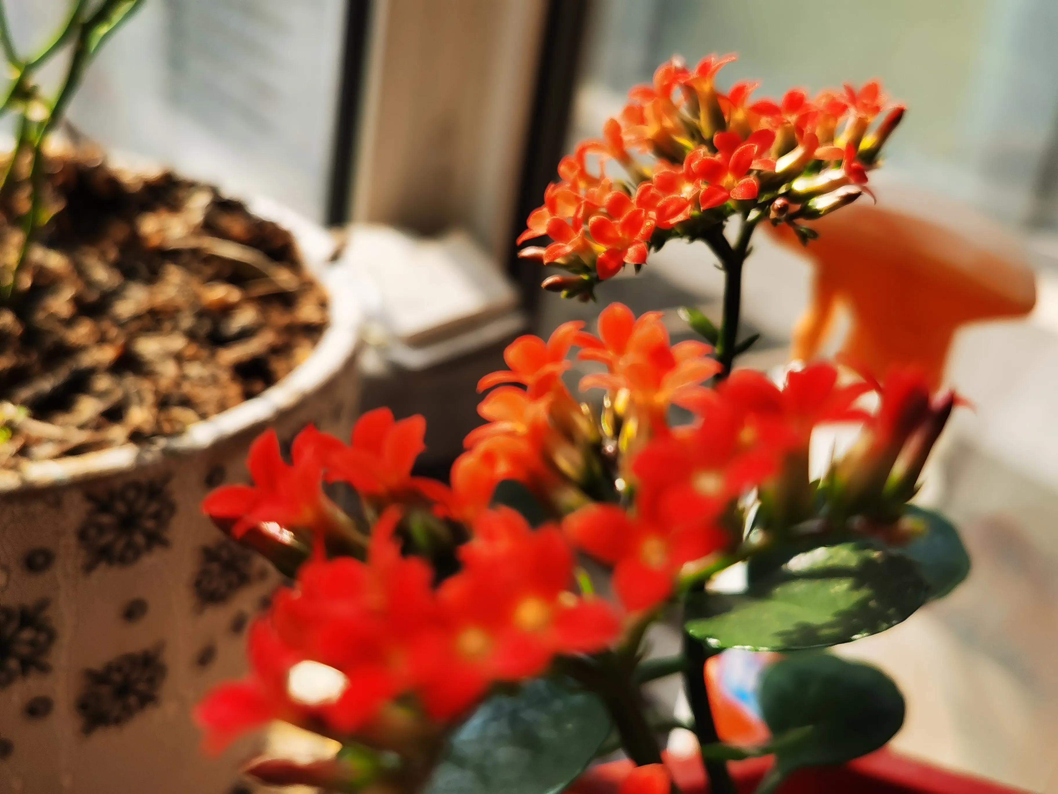 Con Tos Spring Let's do some spring things at the beginning of spring - iNEWS