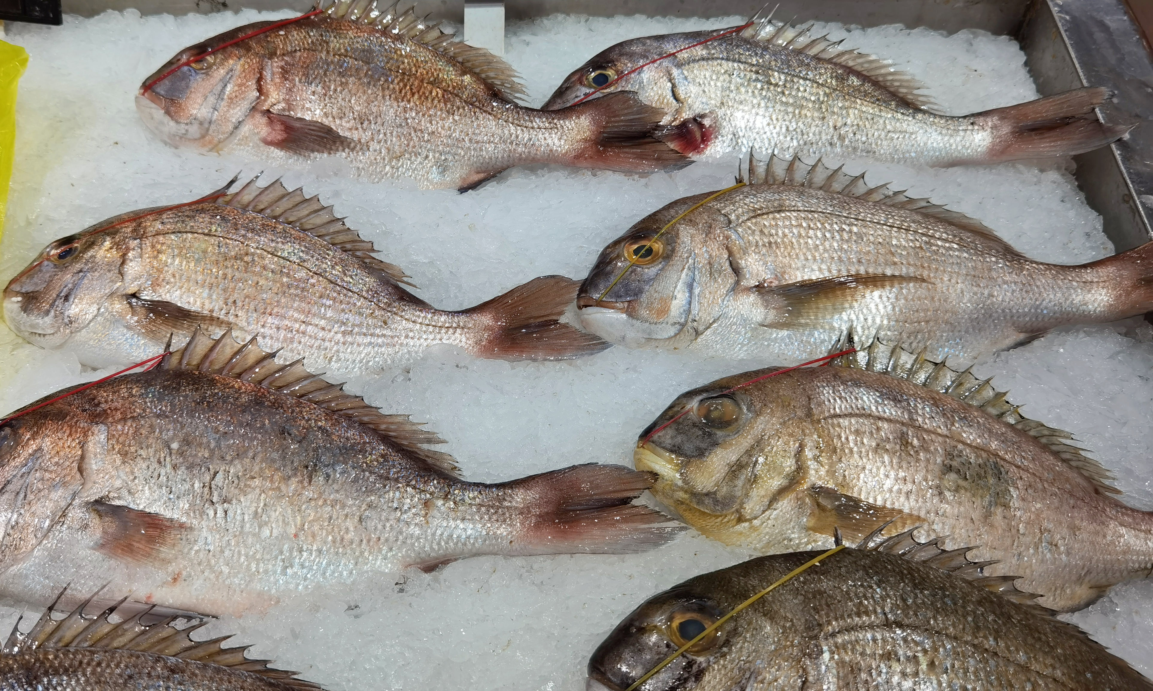 In autumn, don't miss these 3 kinds of fish. The nutrition of hairtail