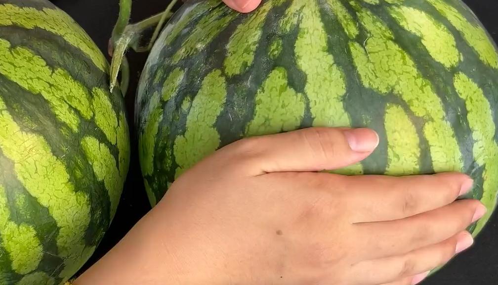 Don't shoot watermelons with your hands anymore, I'll teach you 5 tips, take home a big