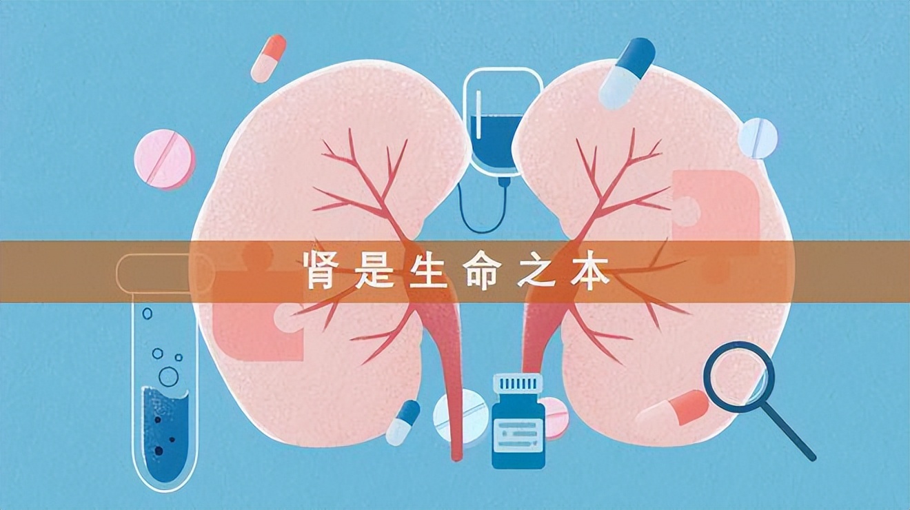 Clinical prescription of traditional Chinese medicine for chronic renal