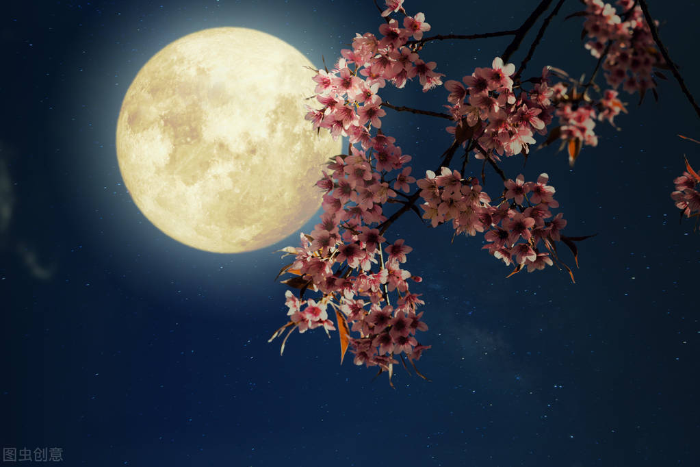 Appreciation of Spring River, Flowers and Moonlight Night - iNEWS