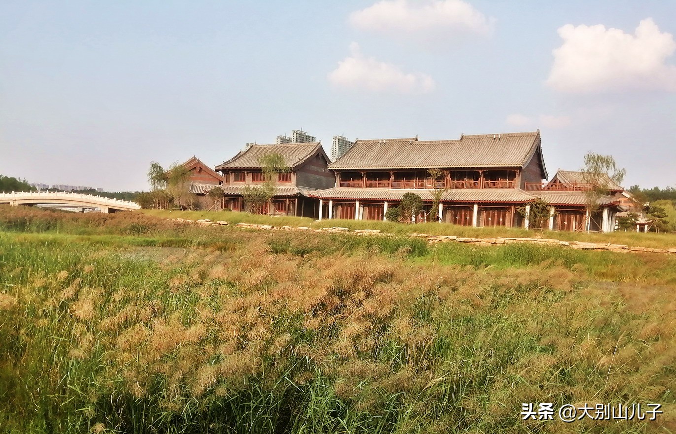 Reed flowers fragrant Jialu River Minglun Island - iNEWS