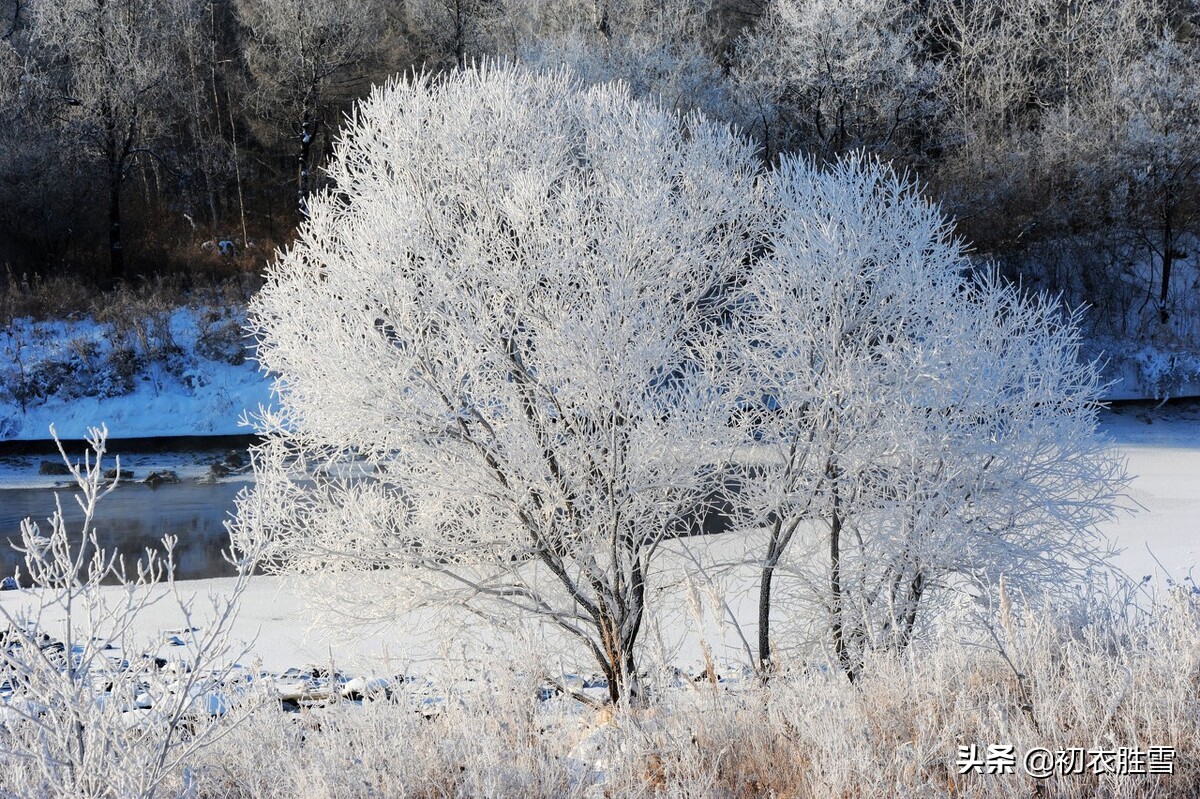 Seven Tang Poems of Beautiful Spring Snow - iNEWS
