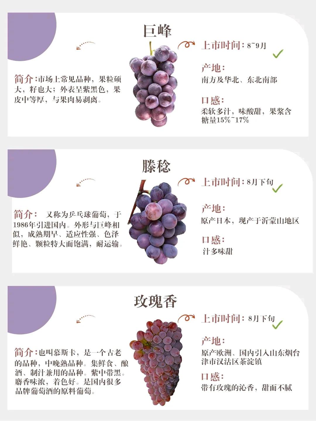 A picture to teach you how to choose grapes iNEWS