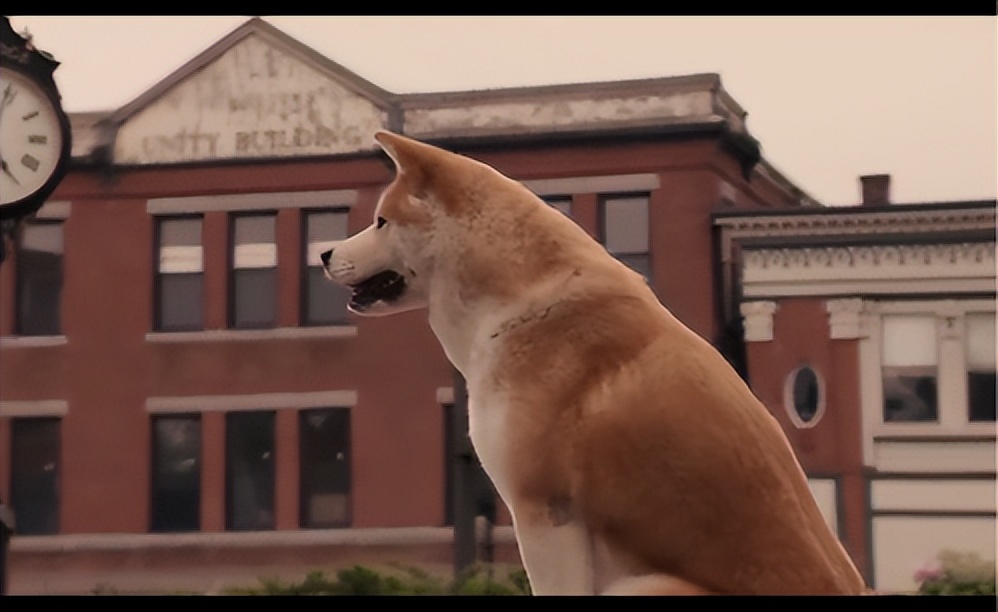 Analysis of the role creation and performance of the movie "The Faithful Dog Hachiko" iNEWS
