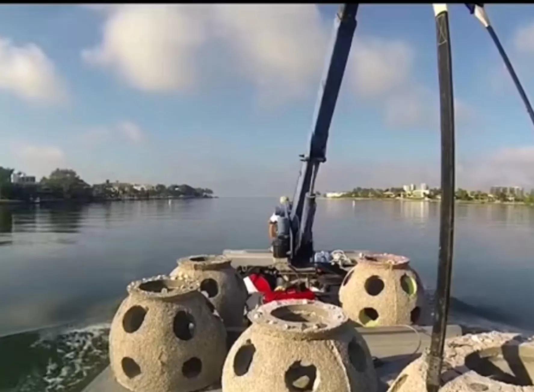 Love the sea, dance with fish, can you accept ashes mixed in concrete