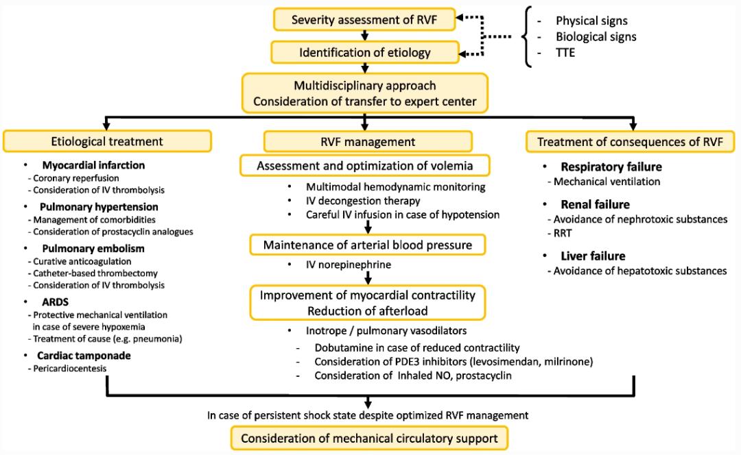 Recognition and management of acute right ventricular failure - iNEWS