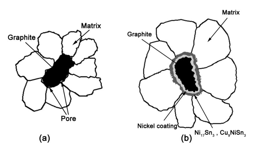 Graphite Matrix Layout Effects of Ni Plating on Graphite on Friction and Corrosion Properties ...
