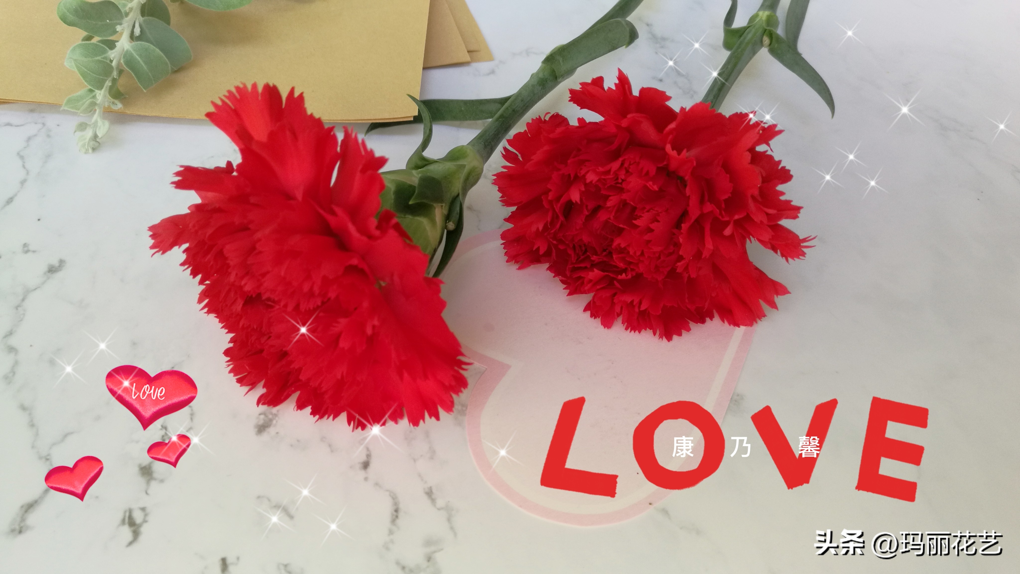 There are many flower languages of carnations. Do you know who the red