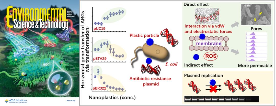 Horizontal transfer of antibiotic resistance genes - iNEWS