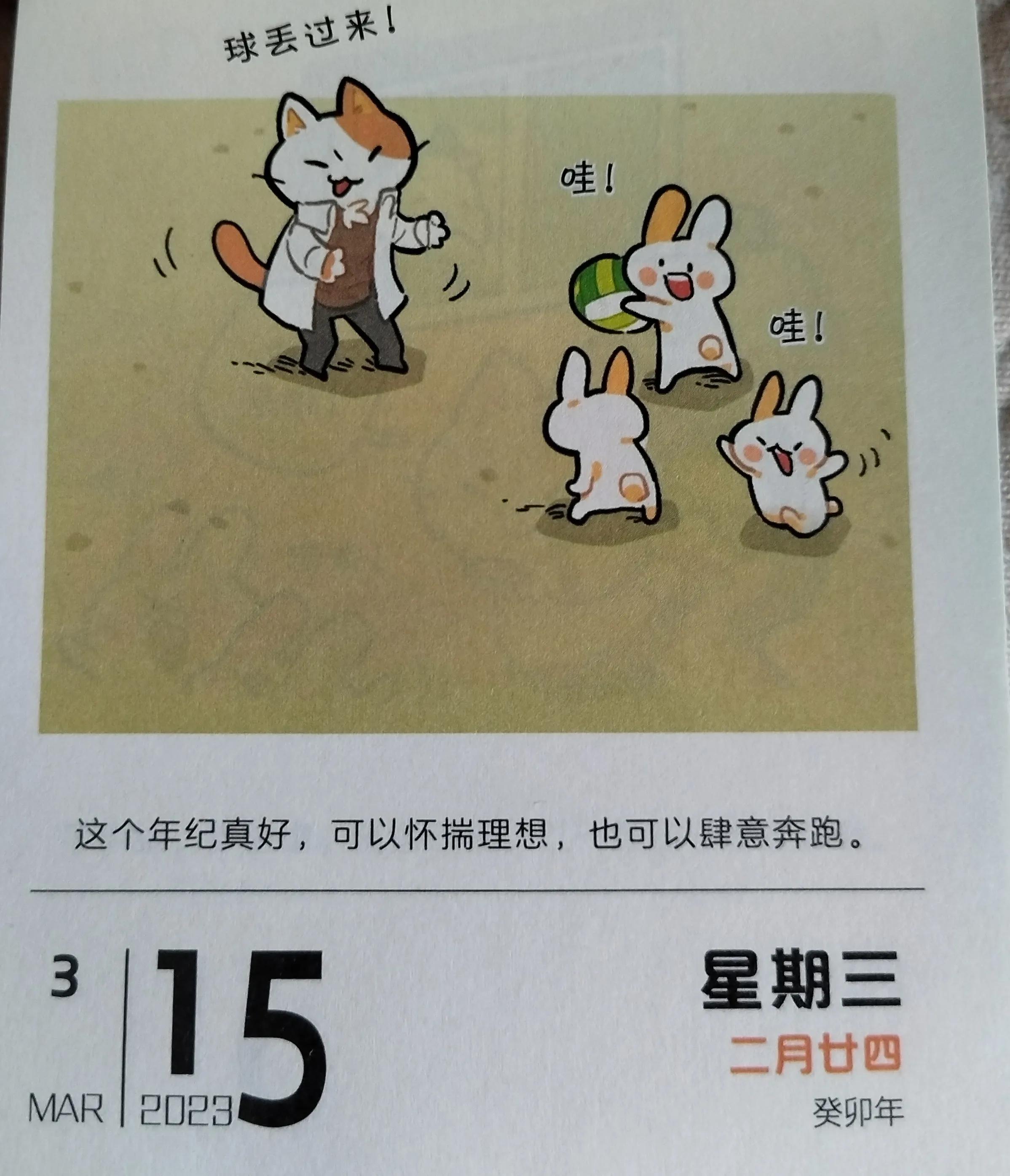 The Broken Ear Rabbit will bring you good luck in a new way - iNEWS