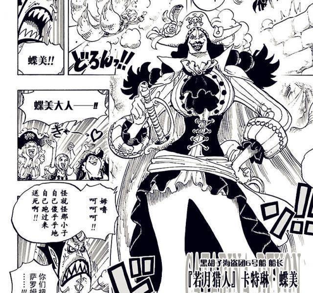 [One Piece]Another beauty? Blackbeard's secret! iMedia